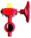 6" BUTTERFLY VALVE WITH TAMPER SWITCH F1022-300 WEFLO